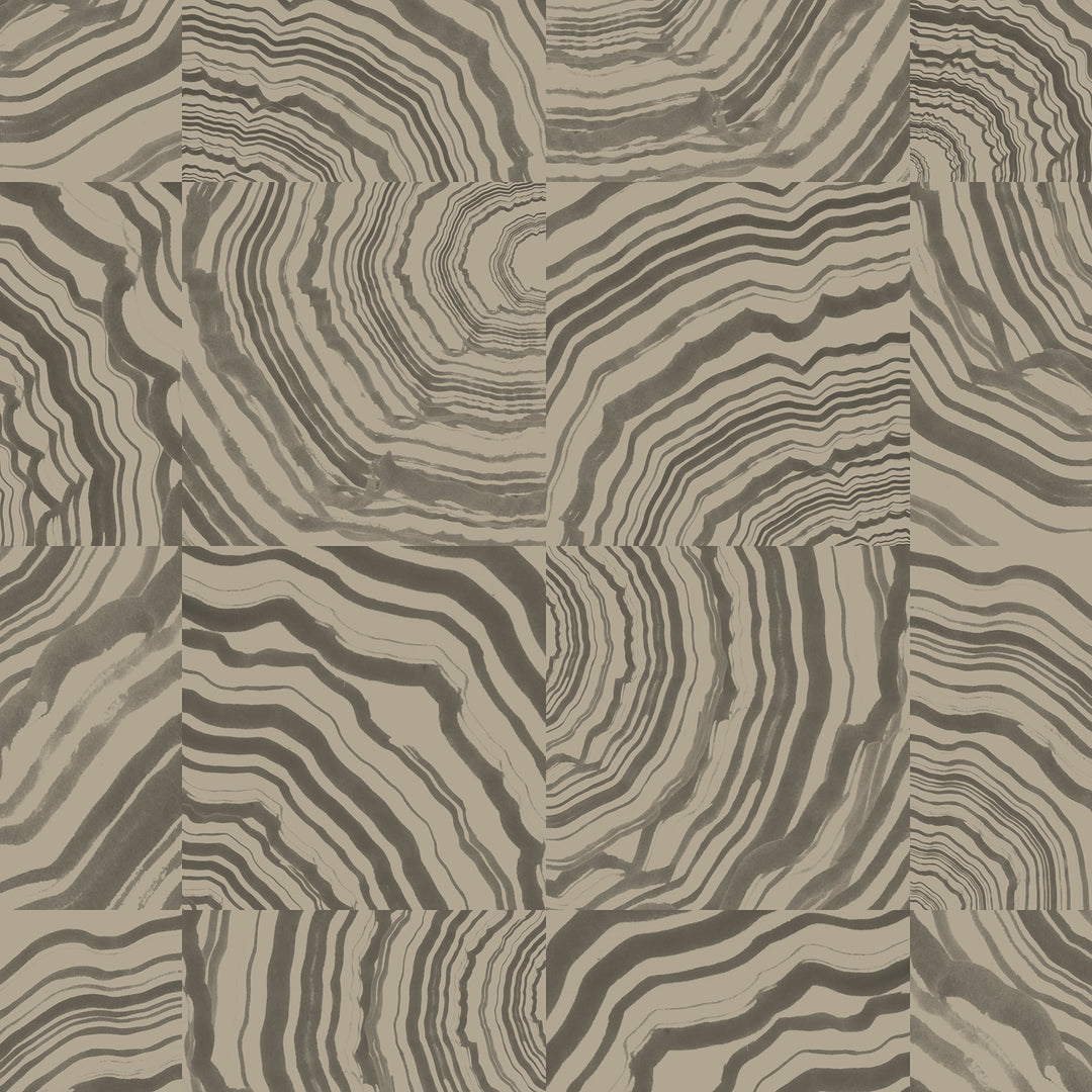 Collage - Petoskey <br> Wallpaper