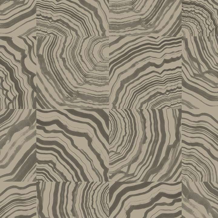 Collage - Petoskey <br> Wallpaper