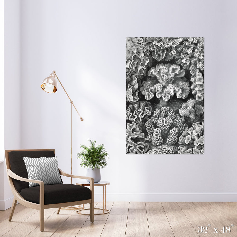 Corals Colossal Art Print - Trendy Custom Wallpaper | Contemporary Wallpaper Designs | The Detroit Wallpaper Co.