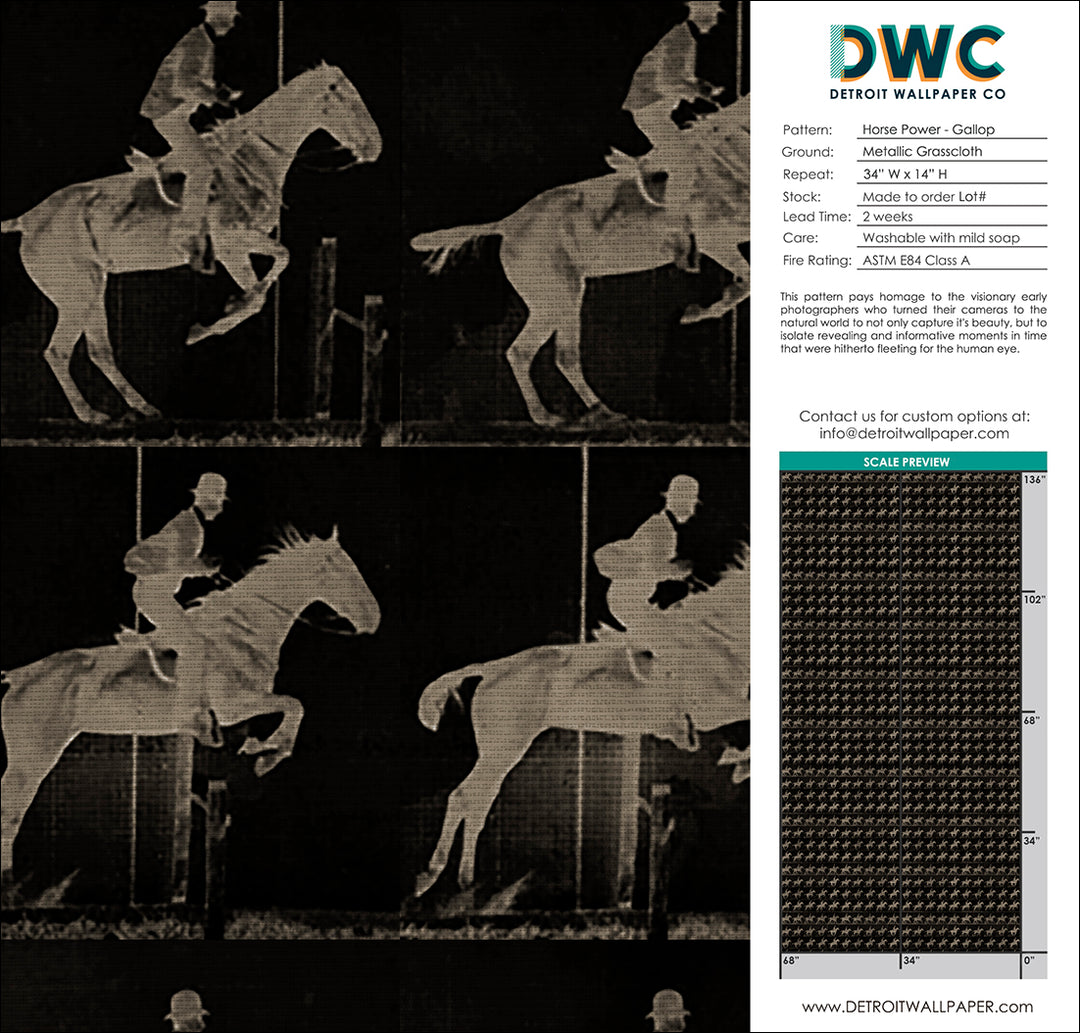 Horse Power - Gallop Grasscloth Wallpaper