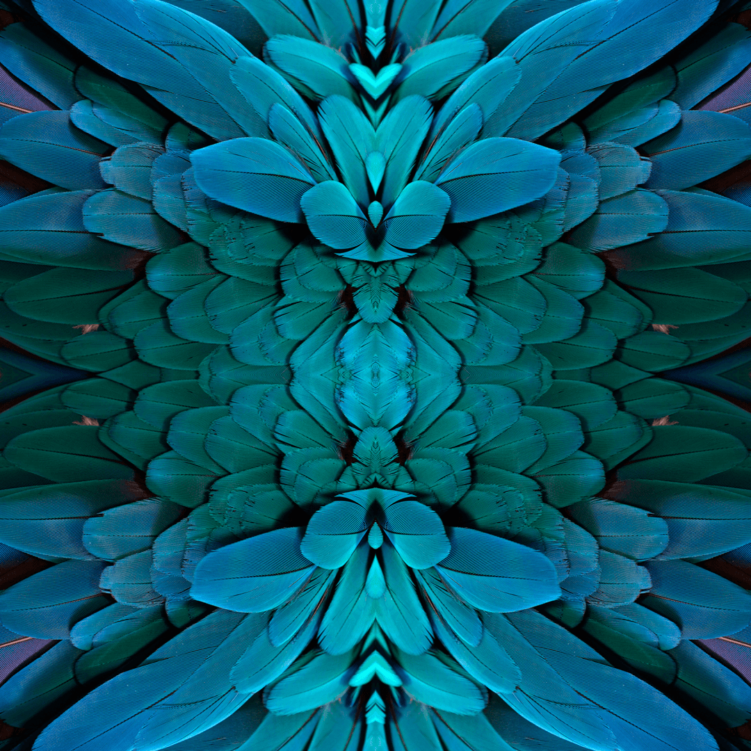 Plume - Amazonian - The Detroit Wallpaper Co.