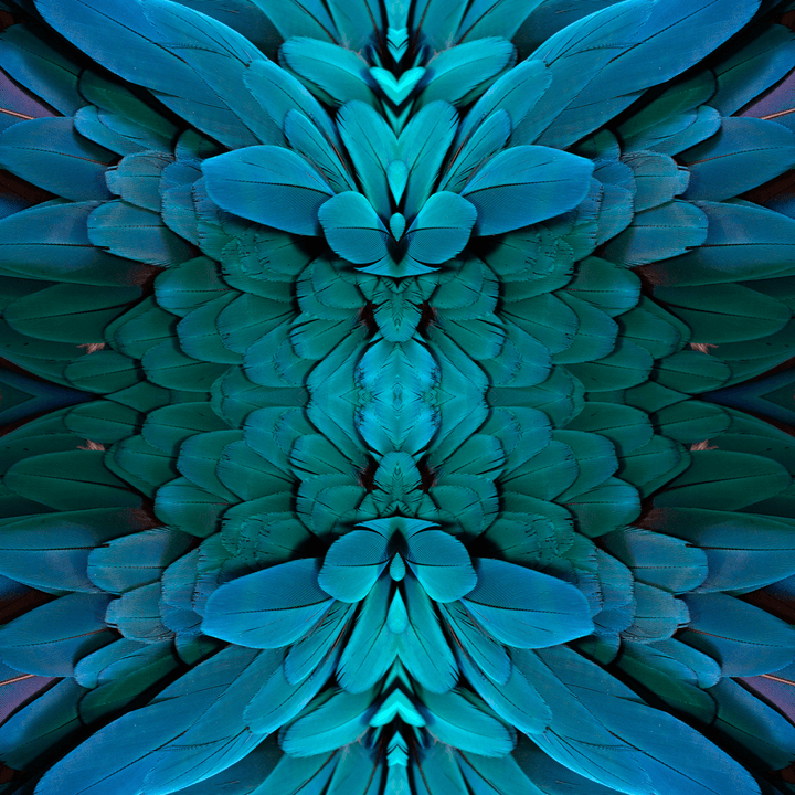 Plume - Amazonian - The Detroit Wallpaper Co.