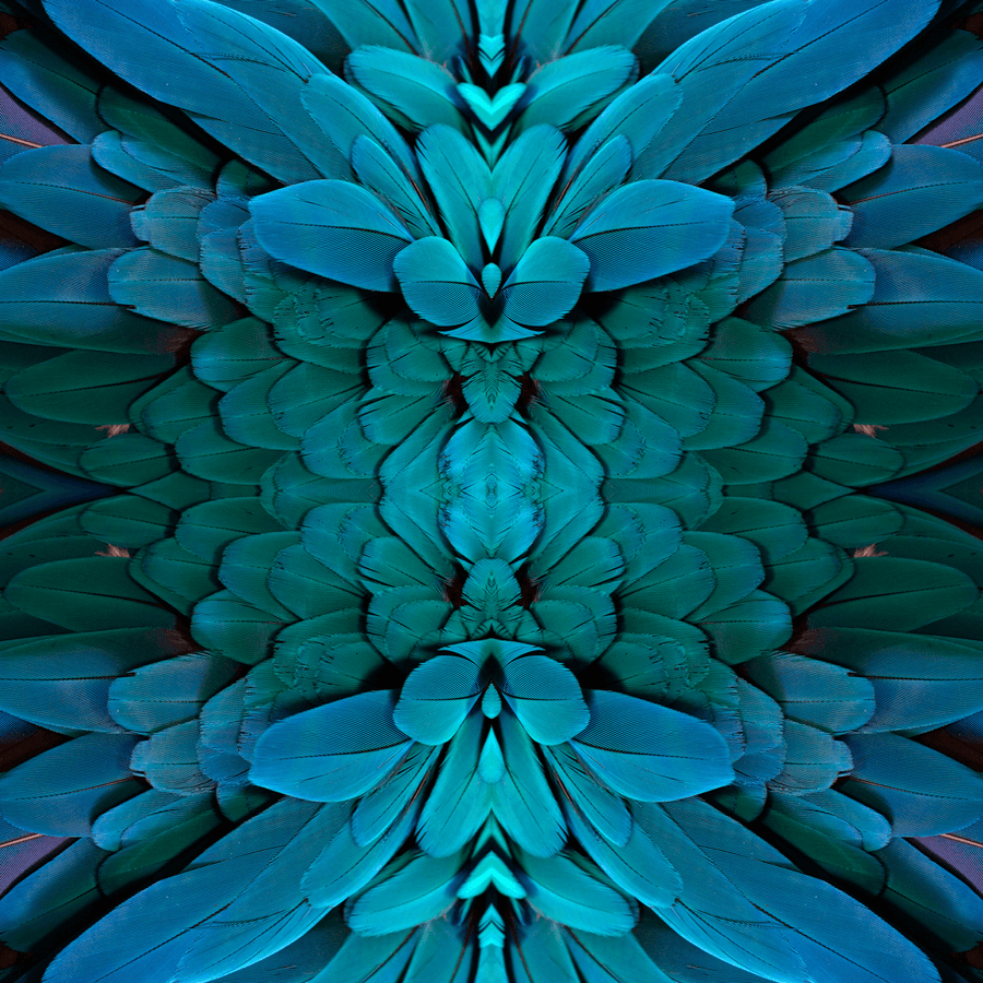 Plume - Amazonian - The Detroit Wallpaper Co.