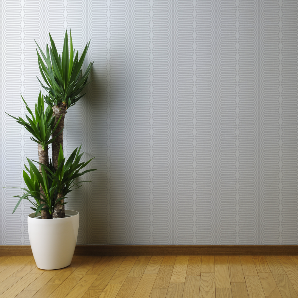 Apollo - Fitted - Trendy Custom Wallpaper | Contemporary Wallpaper Designs | The Detroit Wallpaper Co.