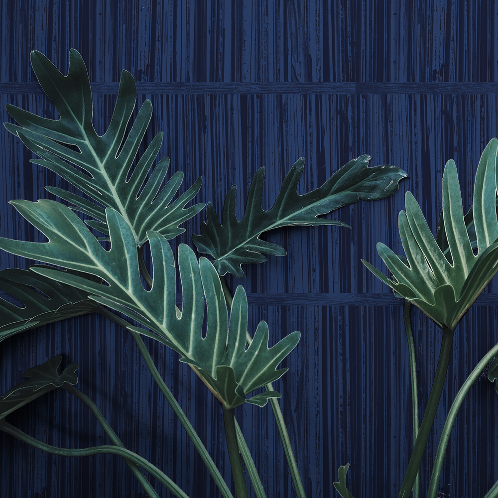 Record Shelf - Scratch - Trendy Custom Wallpaper | Contemporary Wallpaper Designs | The Detroit Wallpaper Co.