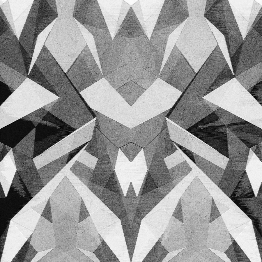 Stellate - Spider - Trendy Custom Wallpaper | Contemporary Wallpaper Designs | The Detroit Wallpaper Co.