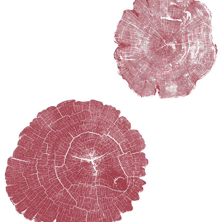 Stumped - Seattle - Trendy Custom Wallpaper | Contemporary Wallpaper Designs | The Detroit Wallpaper Co.