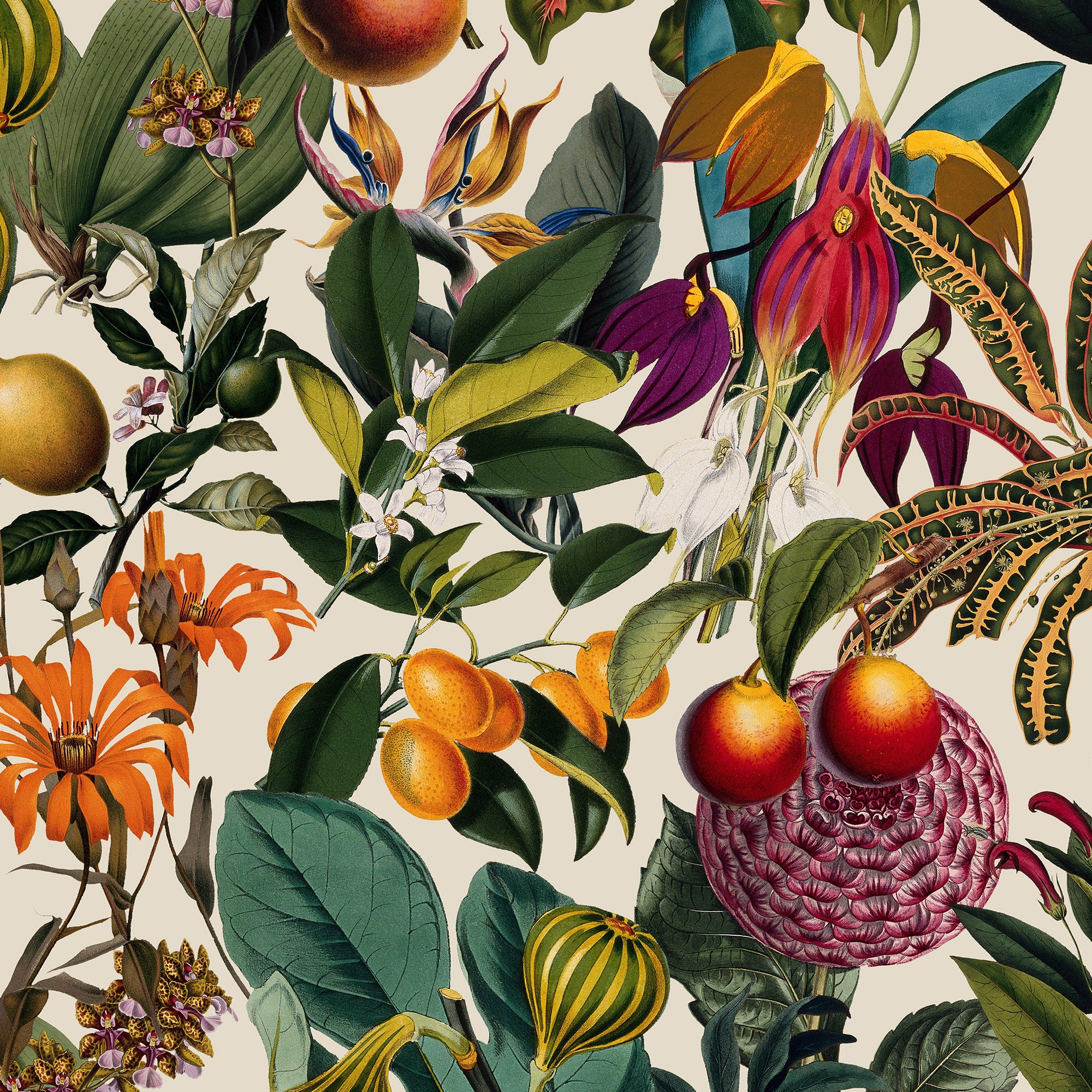 Botanical-Inspired Peel and Stick & Traditional Wallpaper