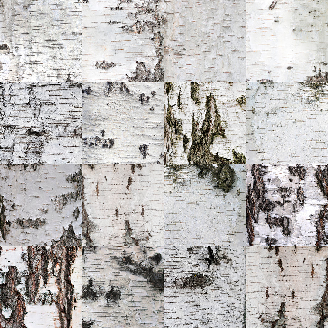 Birch Bark Ombré <br> Wallpaper Mural