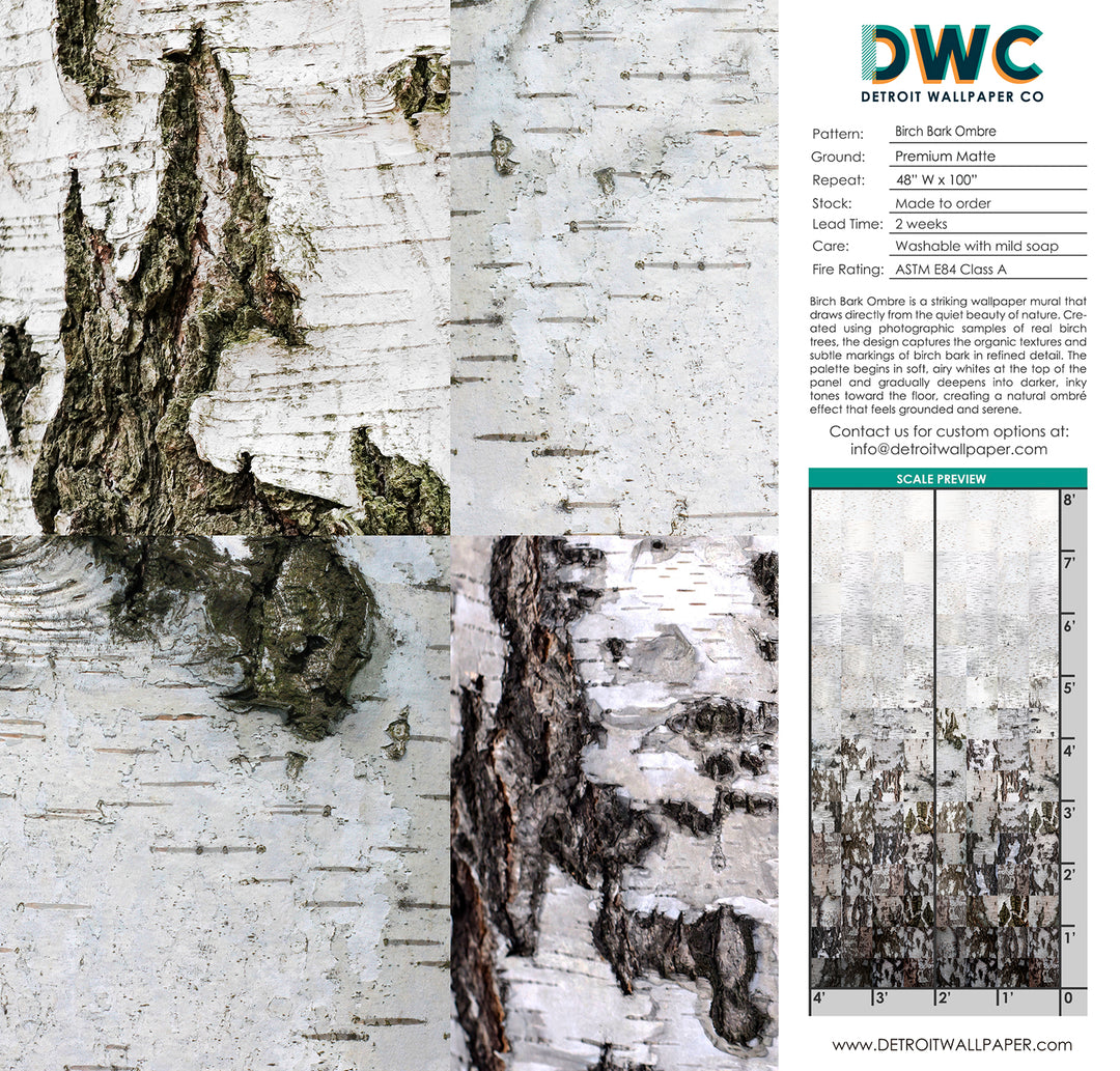 Birch Bark Ombré <br> Wallpaper Mural