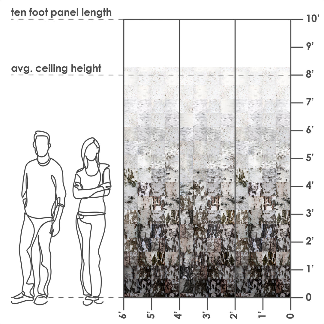 Birch Bark Ombré <br> Wallpaper Mural