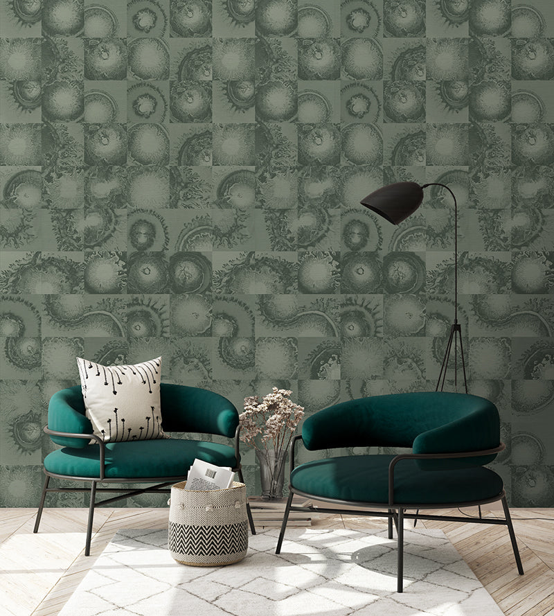 Diffused - French Green <br> Wallpaper