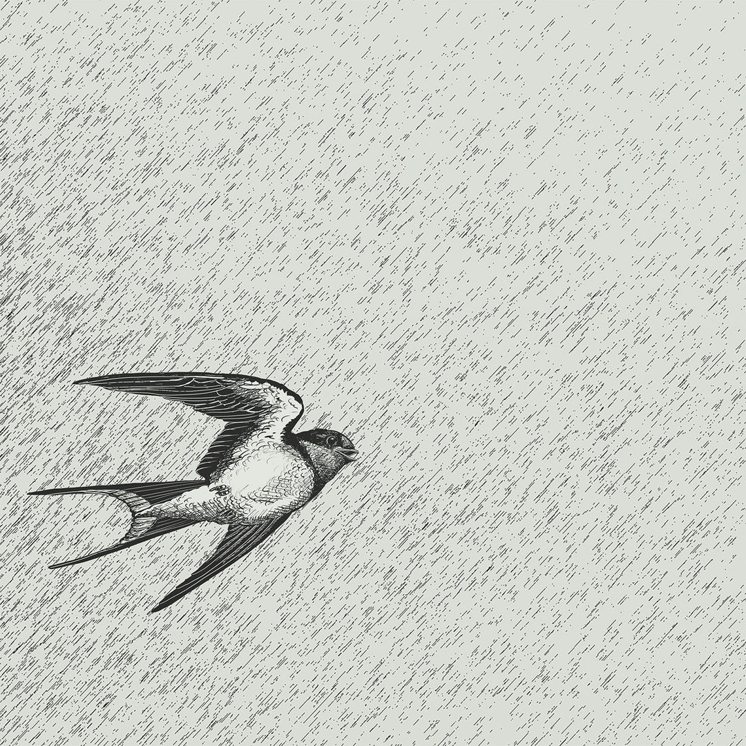 Flit - Drift <br> Wallpaper Mural