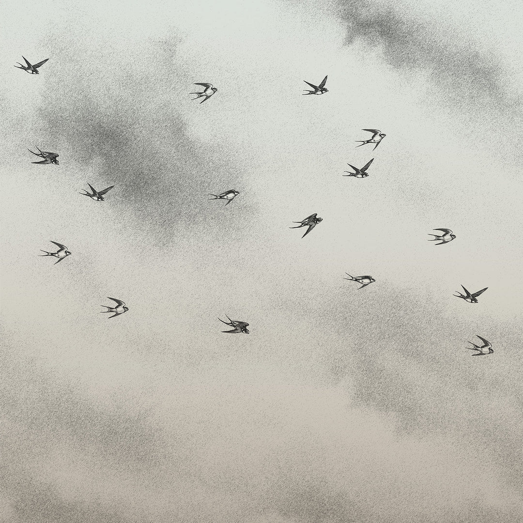 Flit - Drift <br> Wallpaper Mural