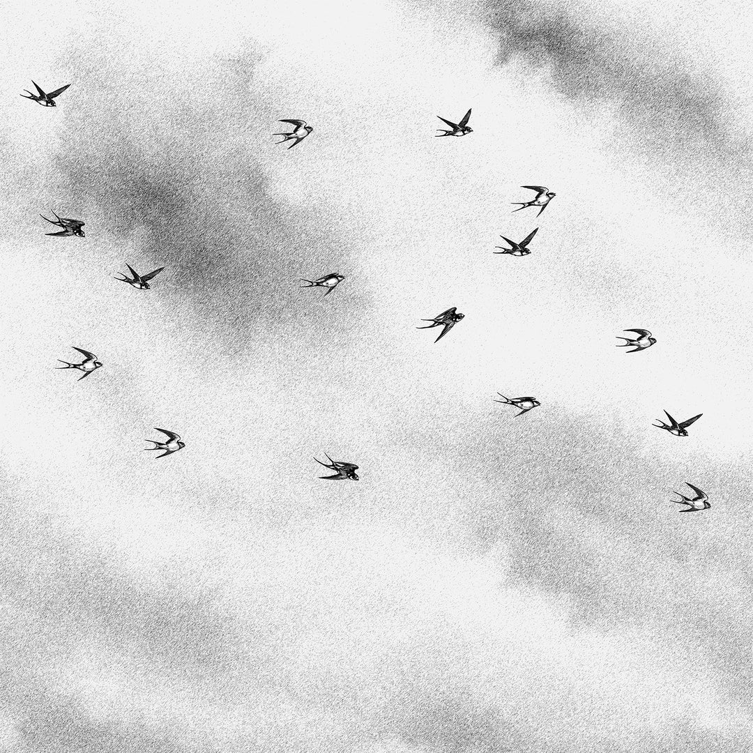 Flit - Nocturne <br> Wallpaper Mural