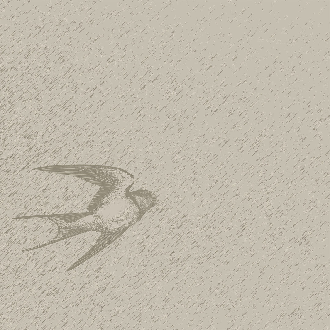 Flit - Sunbleached <br> Wallpaper Mural