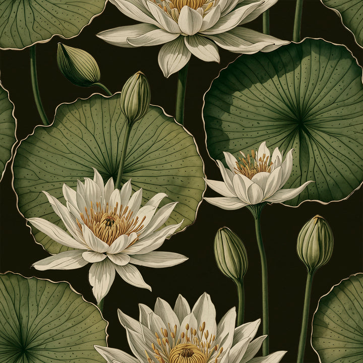 Lily Pad - Terrarium <br> Wallpaper