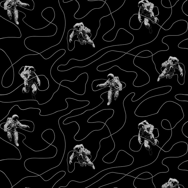 Moon Walk - Expanse <br> Wallpaper