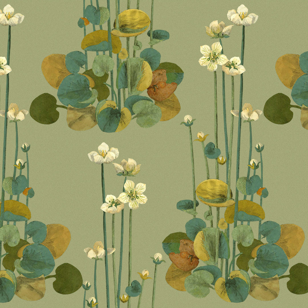 Parnassia - Grass <br> Wallpaper