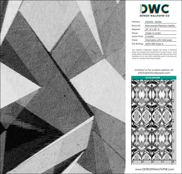 Stellate - Spider <br> Wallpaper