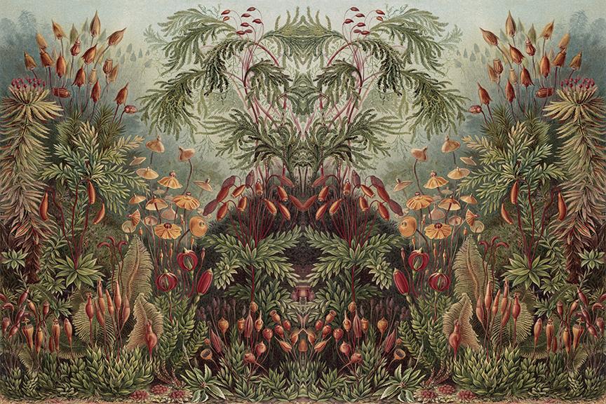 Thrive <br> Wallpaper Mural - The Detroit Wallpaper Co.