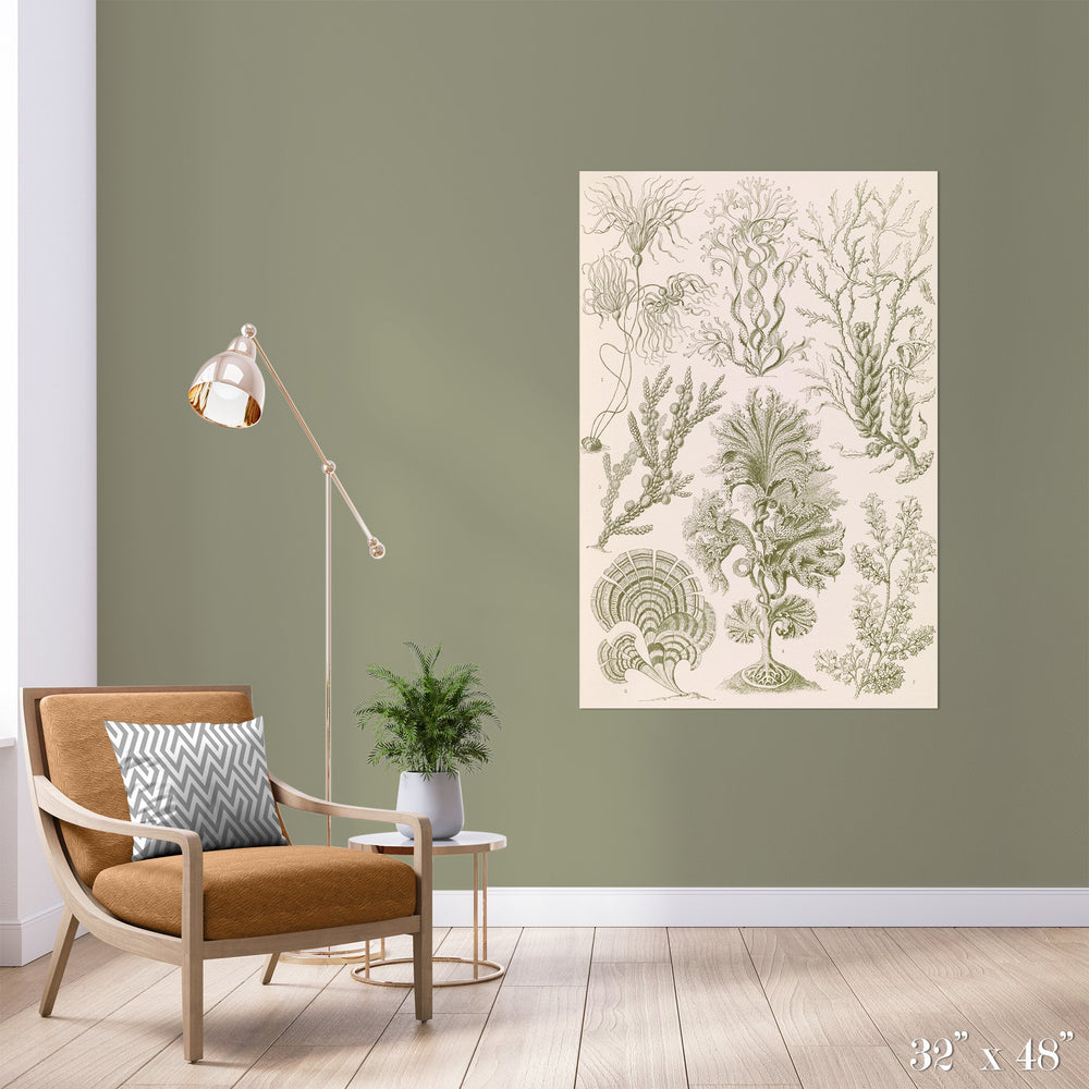 Algae Study Colossal Art Print - Trendy Custom Wallpaper | Contemporary Wallpaper Designs | The Detroit Wallpaper Co.