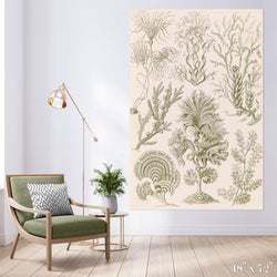 Algae Study Colossal Art Print - Trendy Custom Wallpaper | Contemporary Wallpaper Designs | The Detroit Wallpaper Co.