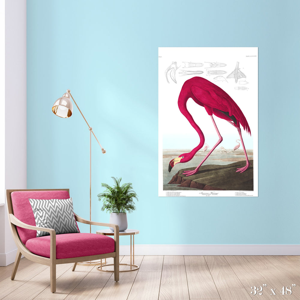 American Flamingo Colossal Art Print - Trendy Custom Wallpaper | Contemporary Wallpaper Designs | The Detroit Wallpaper Co.