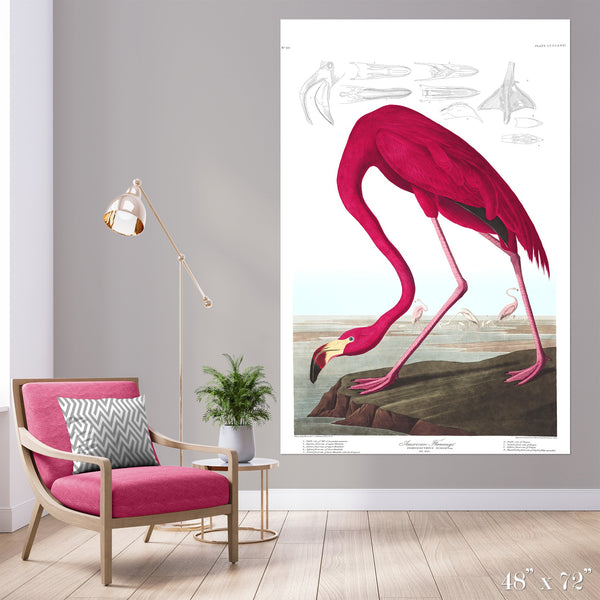 American Flamingo Colossal Art Print - Trendy Custom Wallpaper | Contemporary Wallpaper Designs | The Detroit Wallpaper Co.