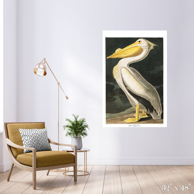American White Pelican Colossal Art Print - Trendy Custom Wallpaper | Contemporary Wallpaper Designs | The Detroit Wallpaper Co.