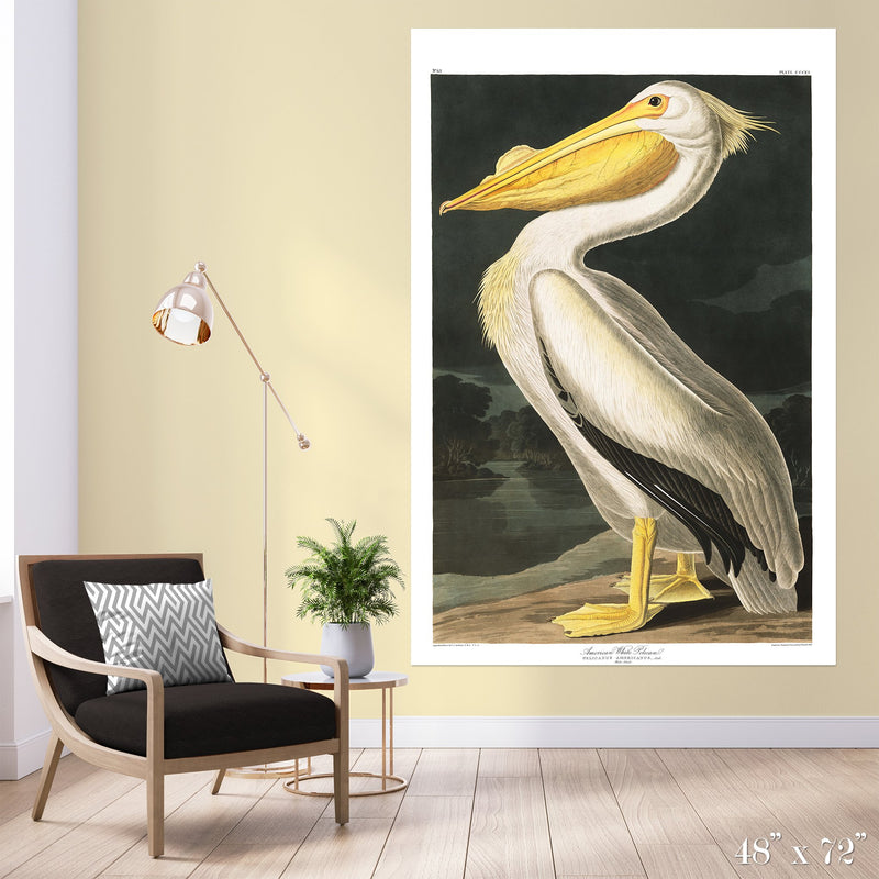 American White Pelican Colossal Art Print - Trendy Custom Wallpaper | Contemporary Wallpaper Designs | The Detroit Wallpaper Co.