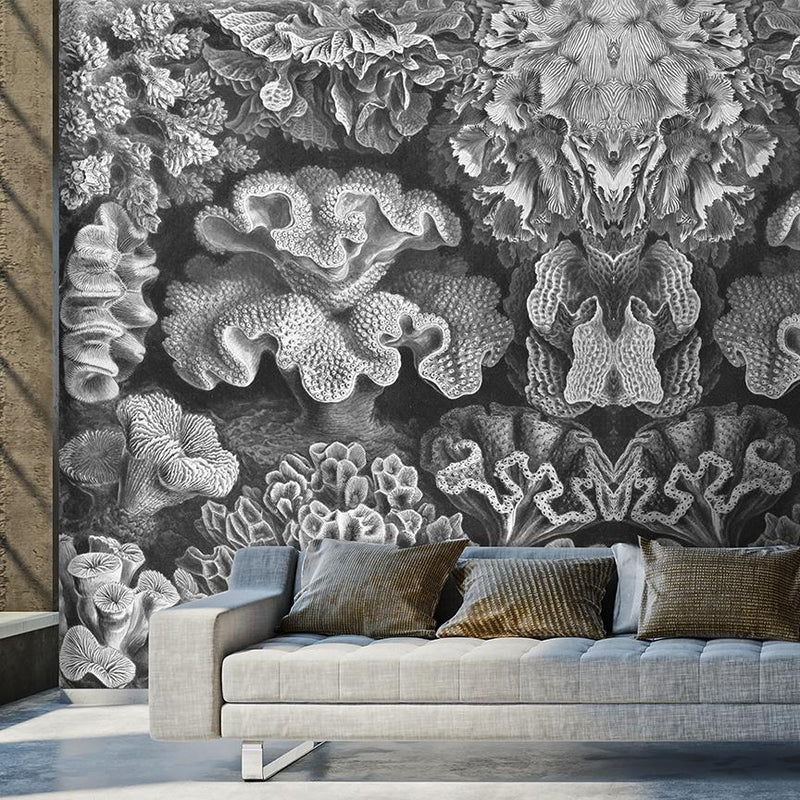 Coral Study Mural <br> Great Wall - Trendy Custom Wallpaper | Contemporary Wallpaper Designs | The Detroit Wallpaper Co.