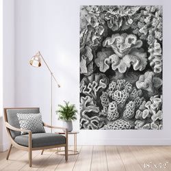 Corals Colossal Art Print - Trendy Custom Wallpaper | Contemporary Wallpaper Designs | The Detroit Wallpaper Co.