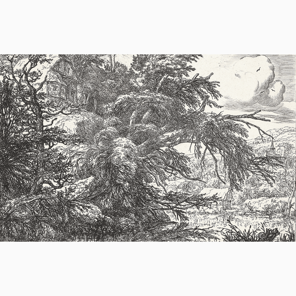 Cottage on the Summit of the Hill, 17th Century <br> Detroit Institute of Arts - The Detroit Wallpaper Co.