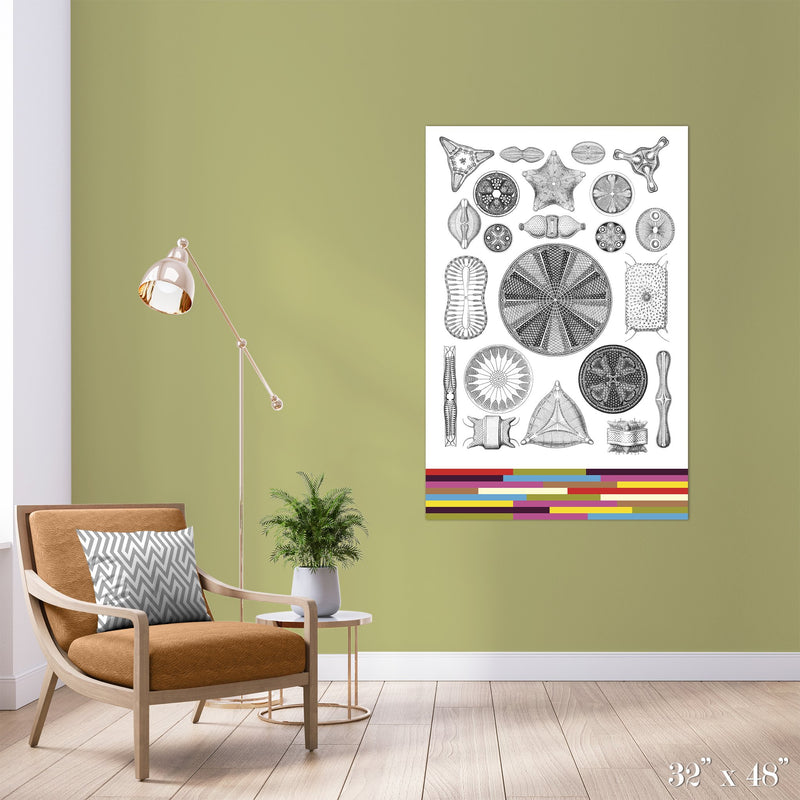 Diatoms Colossal Art Print - Trendy Custom Wallpaper | Contemporary Wallpaper Designs | The Detroit Wallpaper Co.