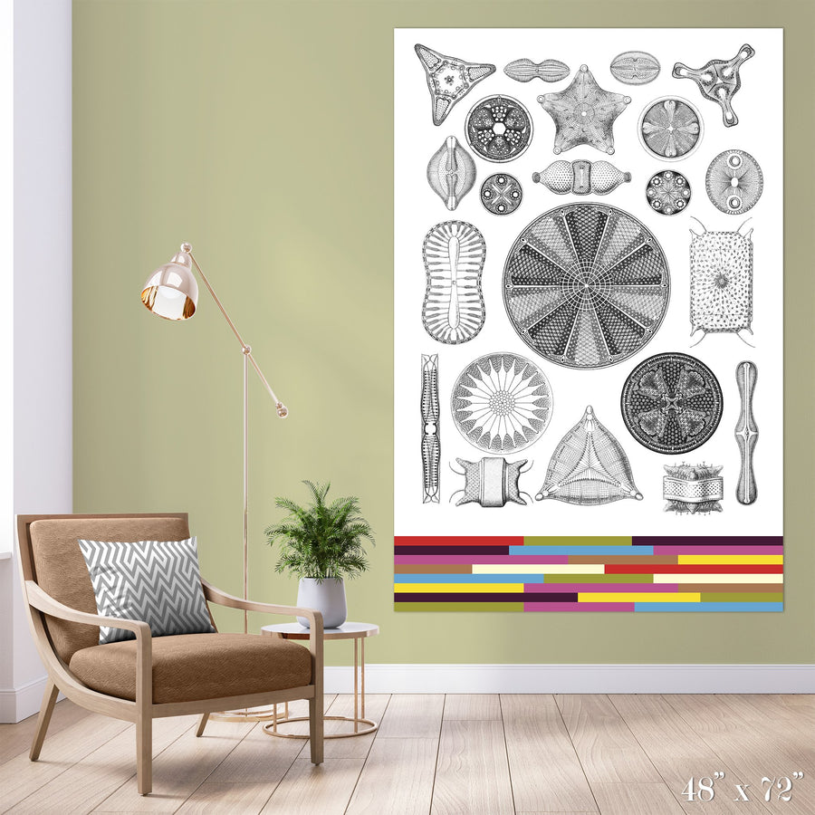 Diatoms Colossal Art Print - Trendy Custom Wallpaper | Contemporary Wallpaper Designs | The Detroit Wallpaper Co.