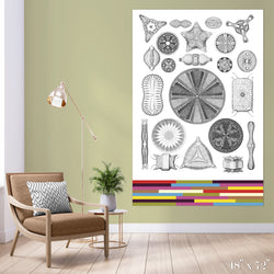 Diatoms Colossal Art Print - Trendy Custom Wallpaper | Contemporary Wallpaper Designs | The Detroit Wallpaper Co.