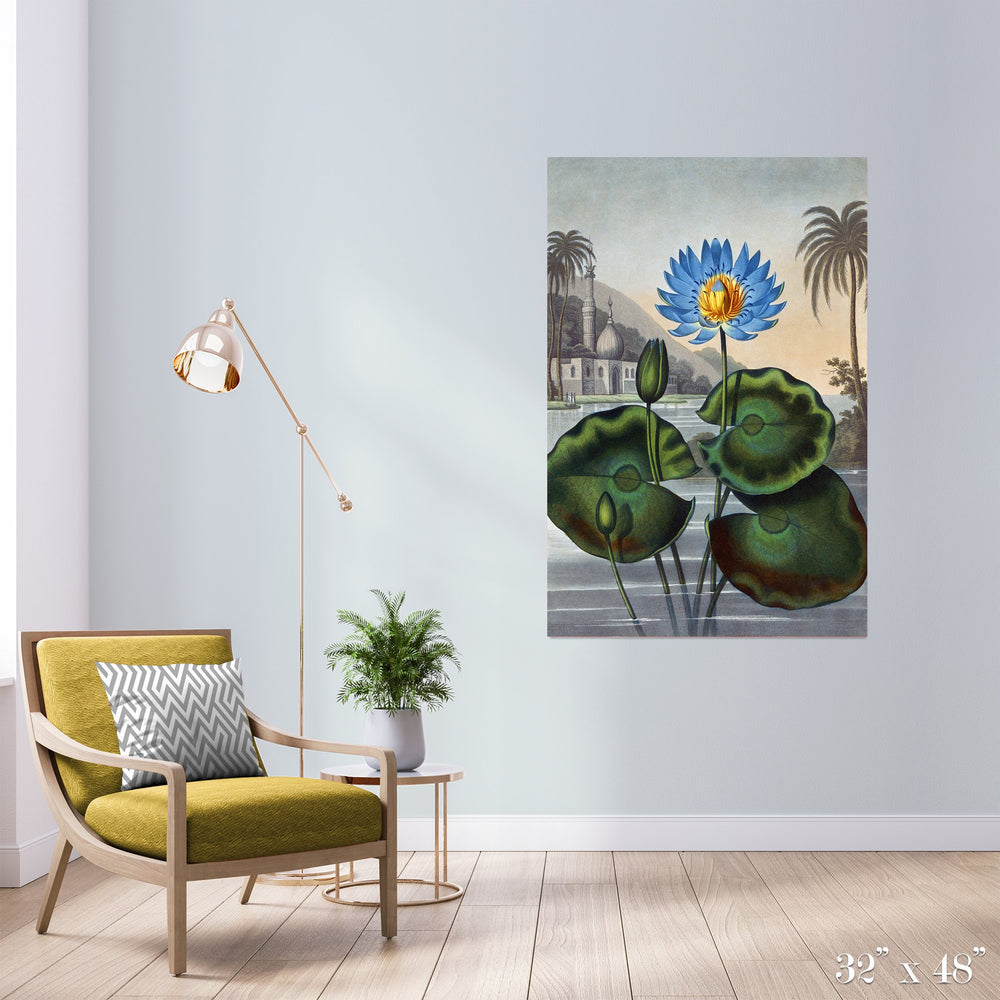 Egyptian Waterlily Colossal Art Print - Trendy Custom Wallpaper | Contemporary Wallpaper Designs | The Detroit Wallpaper Co.