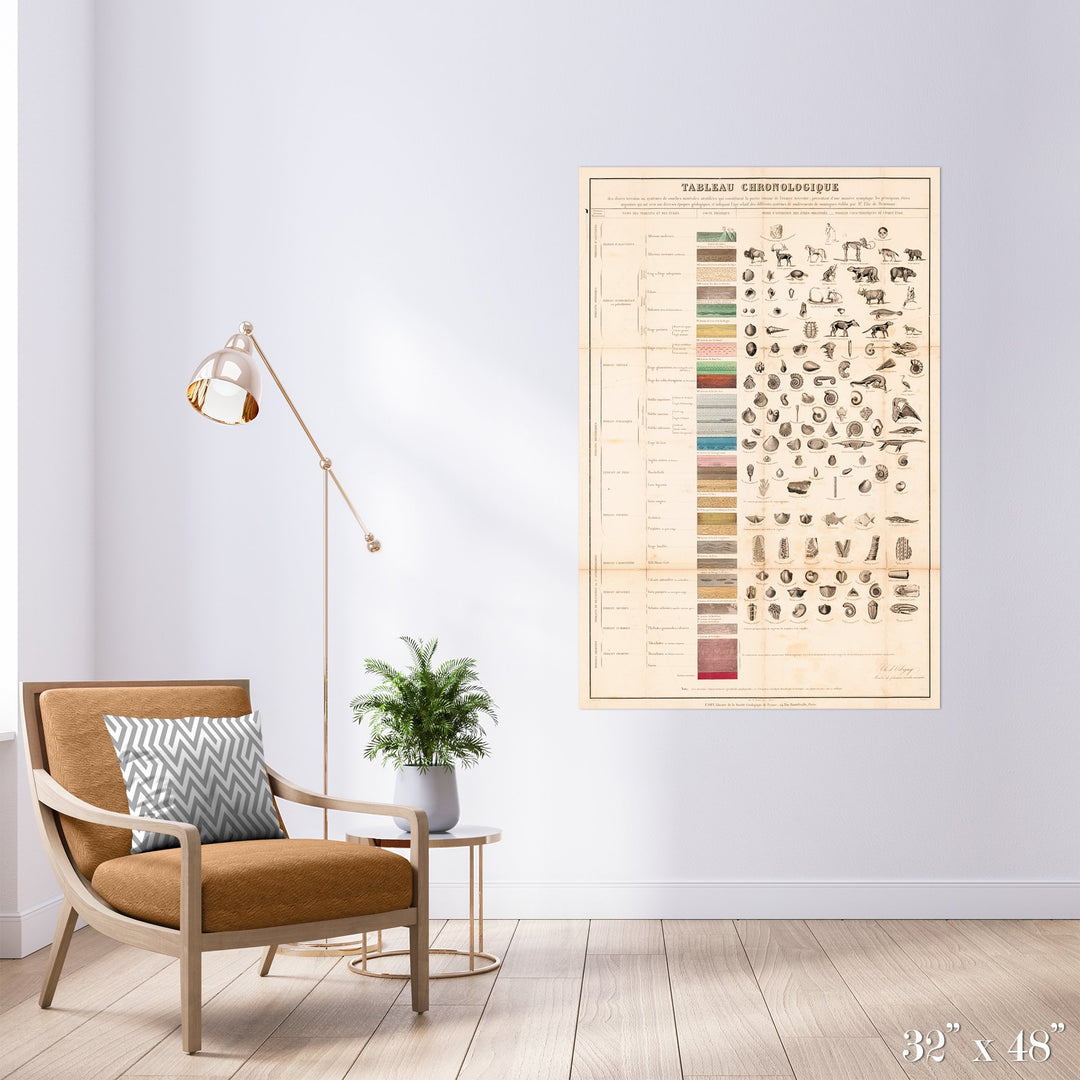 Fossil Colossal Art Print - Trendy Custom Wallpaper | Contemporary Wallpaper Designs | The Detroit Wallpaper Co.