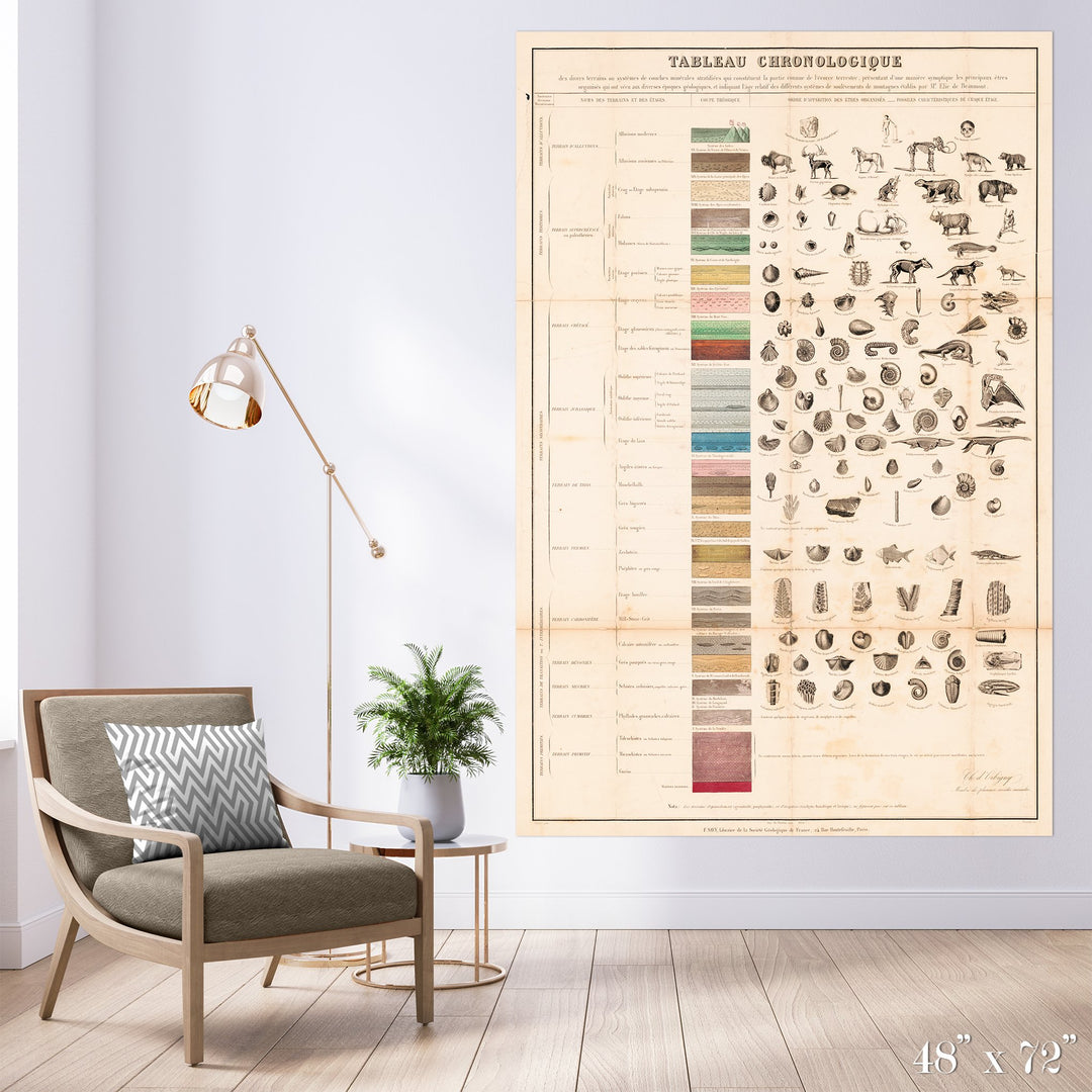 Fossil Colossal Art Print - Trendy Custom Wallpaper | Contemporary Wallpaper Designs | The Detroit Wallpaper Co.