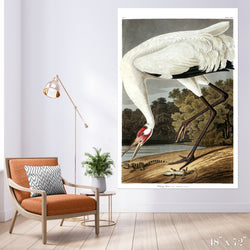 Hopping Crane Colossal Art Print - Trendy Custom Wallpaper | Contemporary Wallpaper Designs | The Detroit Wallpaper Co.