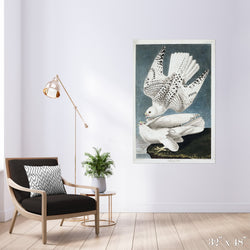 Iceland Falcons Colossal Art Print - Trendy Custom Wallpaper | Contemporary Wallpaper Designs | The Detroit Wallpaper Co.
