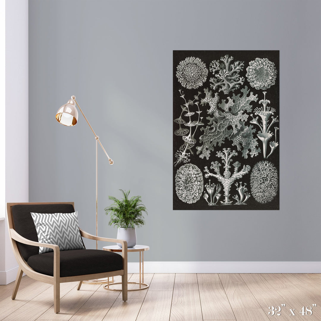 Lichen Colossal Art Print - Trendy Custom Wallpaper | Contemporary Wallpaper Designs | The Detroit Wallpaper Co.