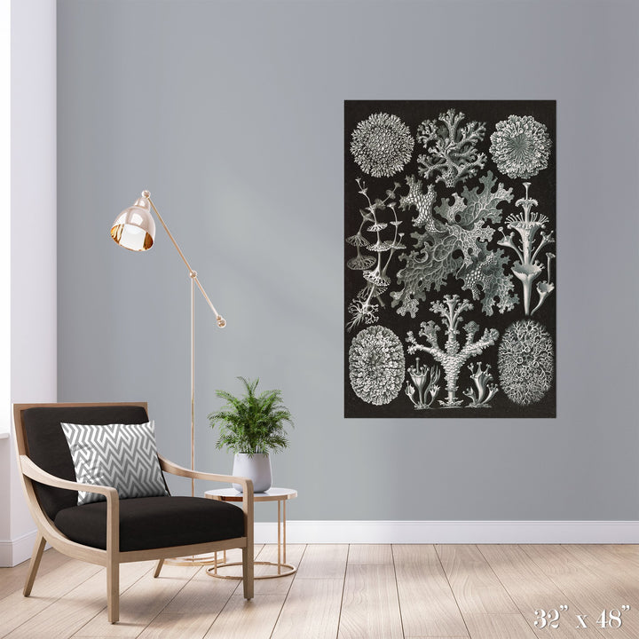 Lichen Colossal Art Print - Trendy Custom Wallpaper | Contemporary Wallpaper Designs | The Detroit Wallpaper Co.