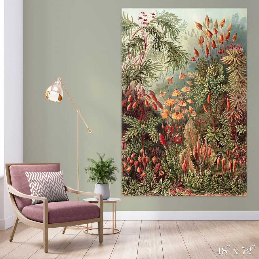 Moss Forest Colossal Art Print - Trendy Custom Wallpaper | Contemporary Wallpaper Designs | The Detroit Wallpaper Co.