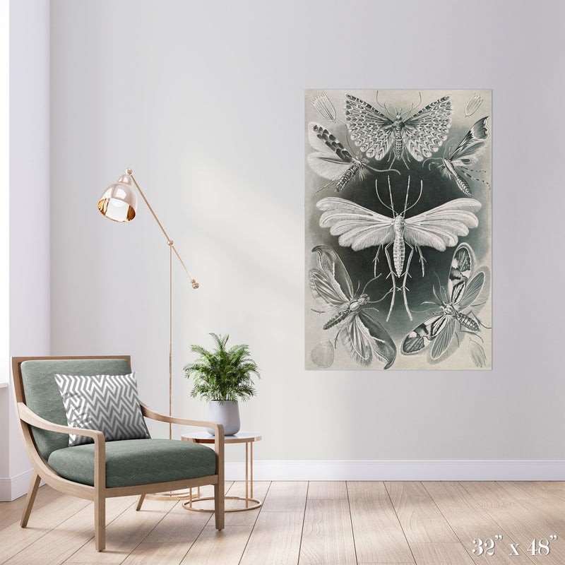 Moth Study Colossal Art Print - Trendy Custom Wallpaper | Contemporary Wallpaper Designs | The Detroit Wallpaper Co.