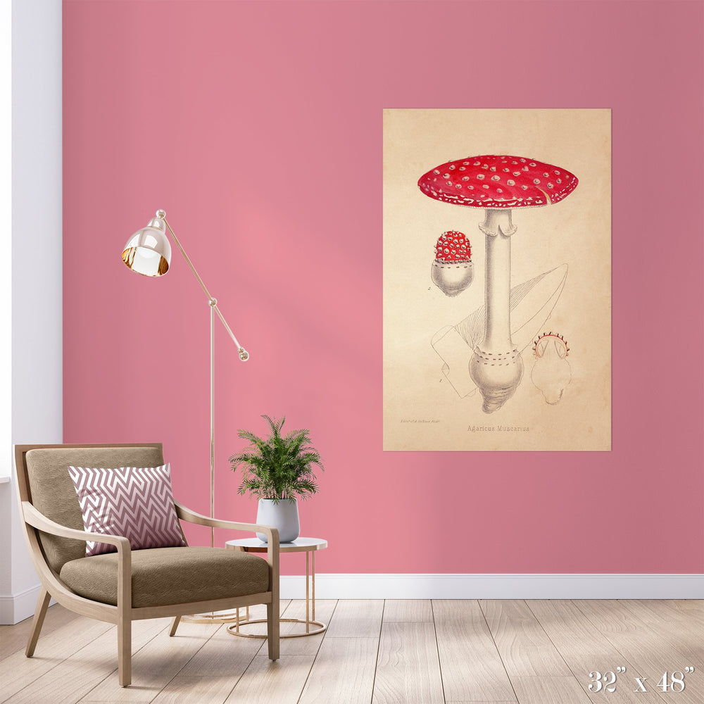 Mushroom Colossal Art Print - Trendy Custom Wallpaper | Contemporary Wallpaper Designs | The Detroit Wallpaper Co.