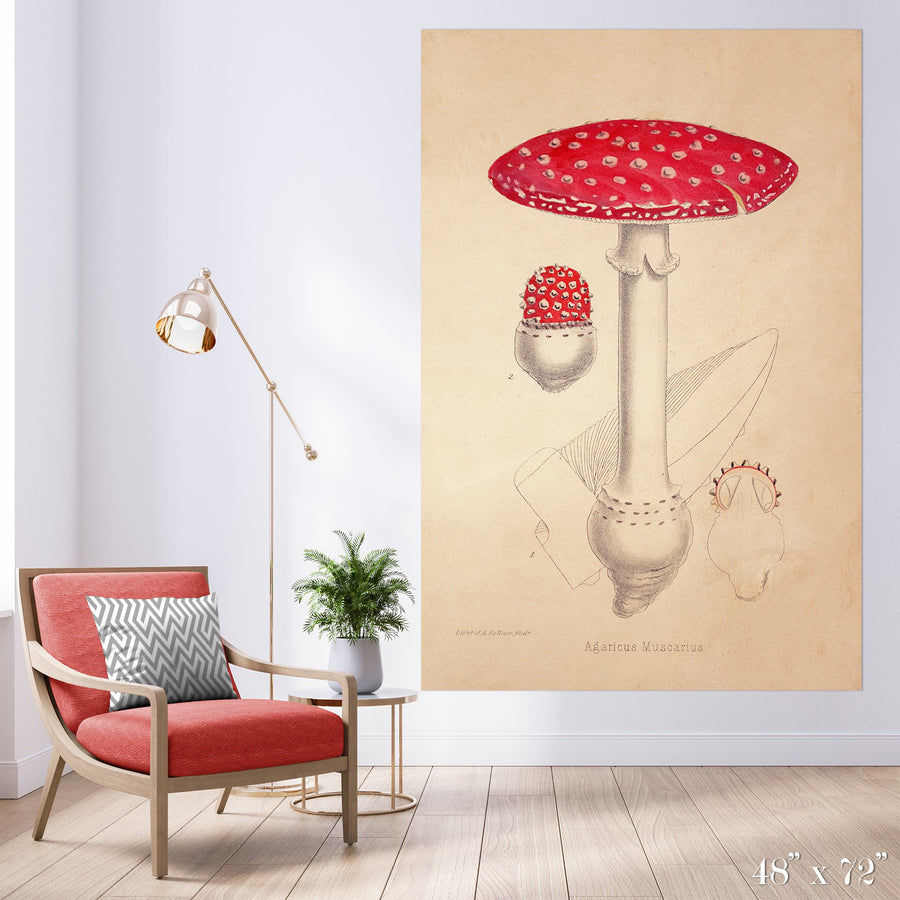 Mushroom Colossal Art Print - Trendy Custom Wallpaper | Contemporary Wallpaper Designs | The Detroit Wallpaper Co.
