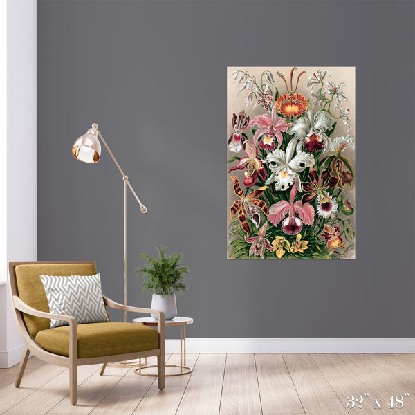 Orchids Colossal Art Print - Trendy Custom Wallpaper | Contemporary Wallpaper Designs | The Detroit Wallpaper Co.