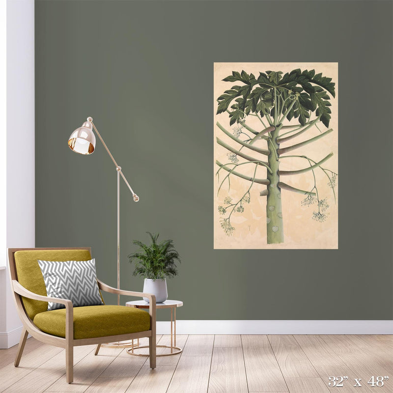 Papaya Tree Colossal Art Print